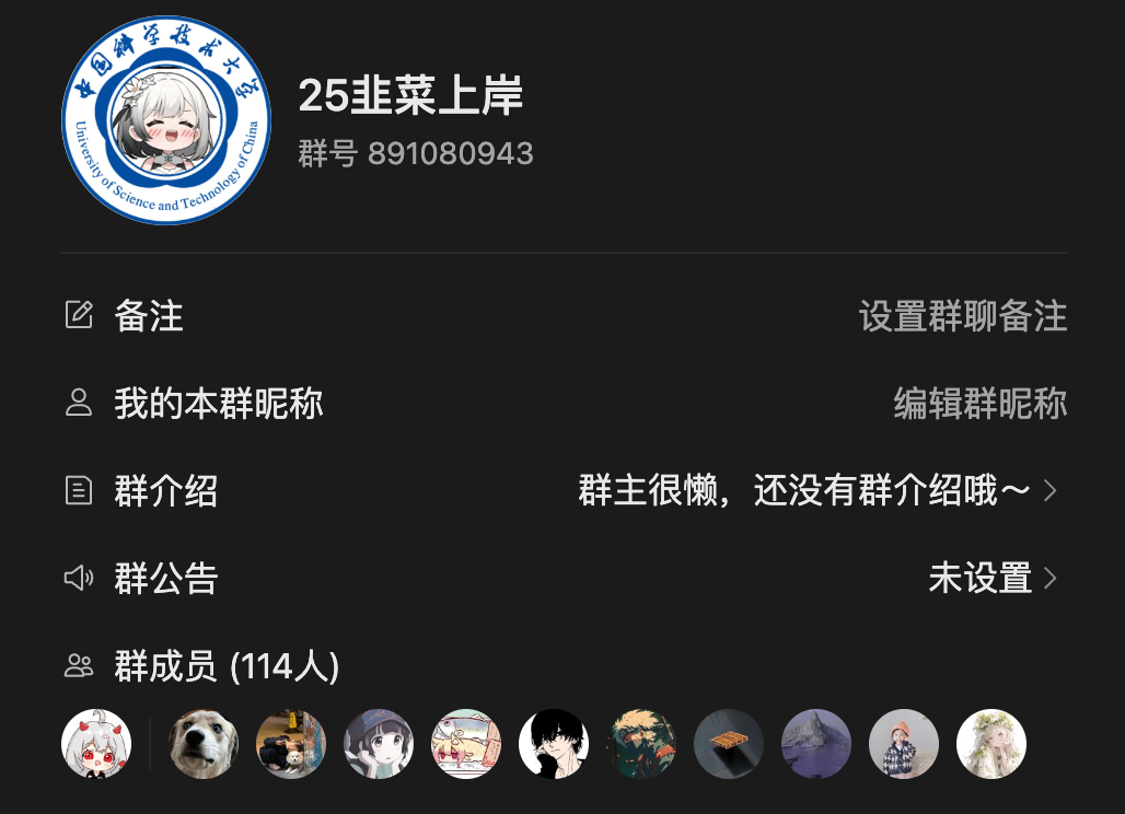 image-20240405113116954